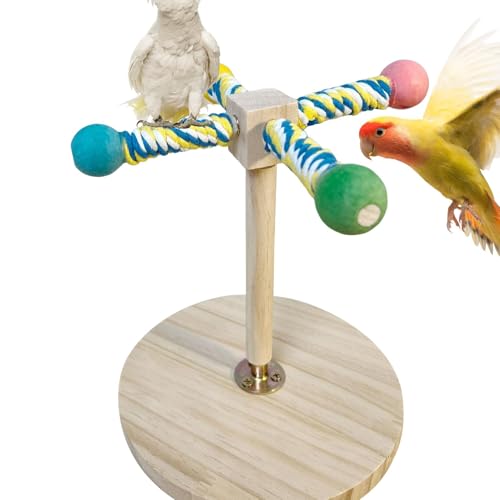 TADAYIM Tabletop Vogelständer, Tischbirdperch, Holzvogelausbildung Spielzeug, Papageienpfoten Schleifständer für Sittiche, Cockatiels, Lovebirds Stehende Zweige von TADAYIM