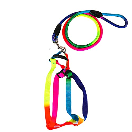 TAHUAON Hundegeschirr und Leine, Set, verstellbar, kein Ziehen, Nylon, Haustiergeschirr mit Leine, Halsband für Outdoor-Spaziergänge für Hunde, Regenbogen-Hundegeschirr, Größe M (geeignet für 0,5–3 von TAHUAON