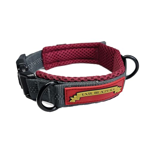 Tail Blazers Verstellbares Basic Hundehalsband, leicht, langlebig, bequem mit atmungsaktivem Netzstoff, perfekte Hundehalsbänder für Hundetraining oder tägliches Spazierengehen (Rot/Grau, L) von TAIL BLAZERS