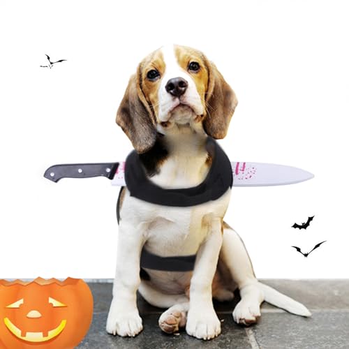 TAIZER Halloween Haustier Kostüm Lustiges Haustierkostüm Hundekostüme Halloween Kostüme für Hunde und Katzen Haustier Halloween Anzug Halloween Party Pet Hund Kostüme Haustiere Cosplay Kostüm von TAIZER