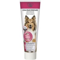 TAKE CARE Zahncreme 100ml von TAKE CARE