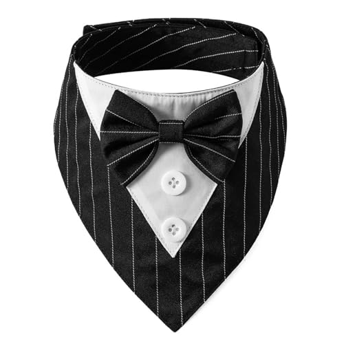 TAKOXIA Elegantes Hundehalsband mit Krawatte, Halstuch, Anzugkragen, Halskette, Halsband, großes süßes Mädchen-Hundehalsband von TAKOXIA