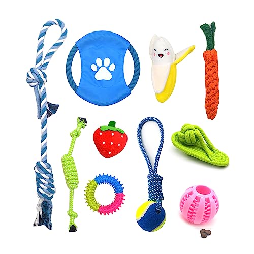 TAKOXIA Hunde Seil Apportierspielzeug Zerrspiel für Welpen Zahnen Kauen Backenzähne Spielzeug Hunde Apportierspielzeug für Indoor Hunde von TAKOXIA