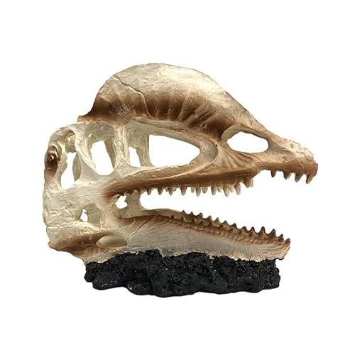 TAKOXIA Künstliche Höhle Versteck Aquarium-Dekorationen für Aquarium, Terrarium, Garnelen, Dinosaurier-Ornament von TAKOXIA