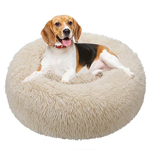 TAMOWA Hundebett, Haustierbett Rund aus Plüsch, Katzenbett flauschig, Welpen Kissen, Tragbare Warme Weiche Bequeme Hundesofa, Donut Kissen für Katzen und kleine Hunde, 50CM, Beige von TAMOWA