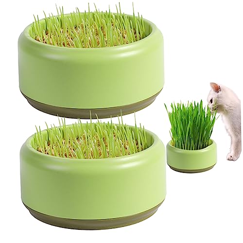 TANGPINGMAO Katzengras -Pflanzer 2PCs Praktische runde Katzengrasbecher 5,3 Zoll praktische Katzengras -Wachstumskit Haushalt Katzengras Gärtner Samenrouter Tablett von TANGPINGMAO