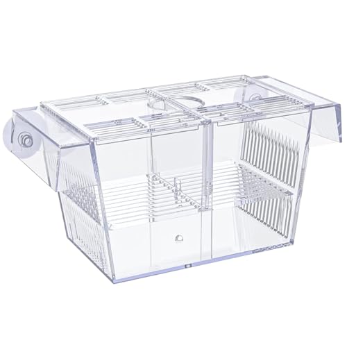 TANGPINGMAO Züchterbox für Fischtank Multi -Kompartiment Fischisolation Box für Aquarium mit Saugnapfbecher und Fütterungsanschluss transparentes ABS -Fisch -Brutschachtel Haustier Vorräte von TANGPINGMAO