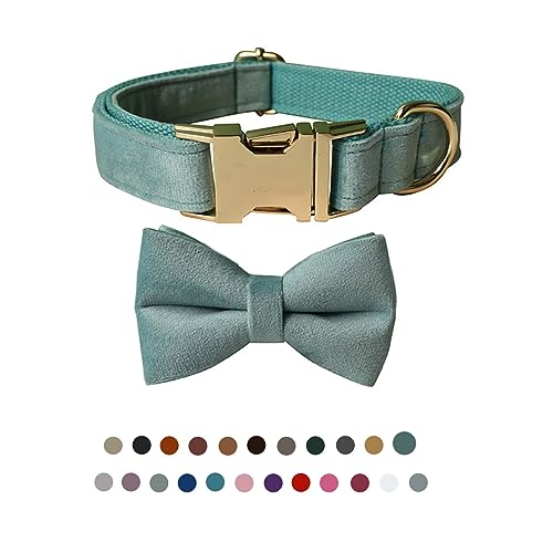 Hundehalsband mit Fliege, verstellbares Samt-Halsband für Hunde mit Metallschnalle und stilvoller, abnehmbarer Fliege für kleine, mittelgroße oder große Jungen und Mädchen, Hunde und Katzen, von TANXIC