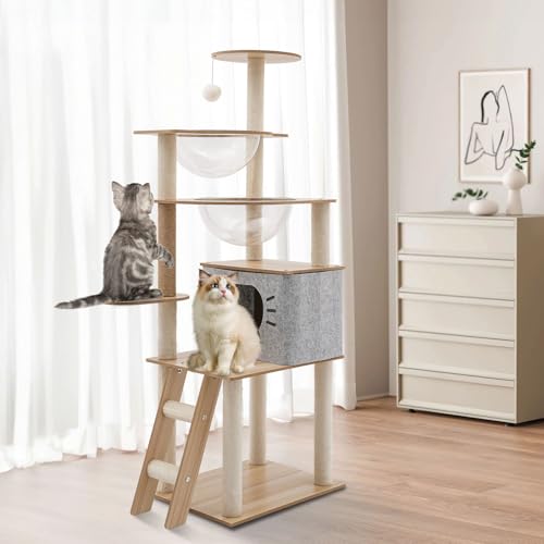 Pet Kratzbaum Katzen-Klettergerüst 5-stufiges mit Acrylkapsel Liegeflächen Höhle für Indoor-Katzen mit Mehreren Ebenen & Kratzbäumen von TAPMING