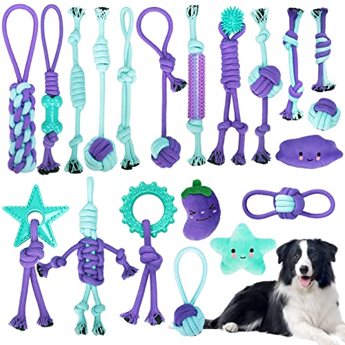 TAVADA Hundespielzeug,Hundespielzeug Set,20 Stück Kauen Hundespielzeug Set für Kleine Hunde/Mittlere,Welpen Spielzeug für Hunde ​Zahnpflege,aus Natürlicher Baumwolle von TAVADA