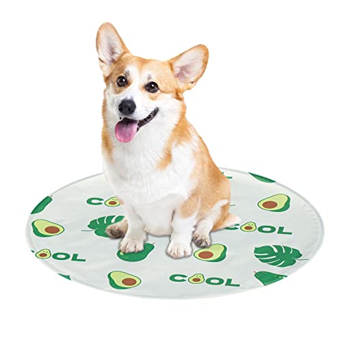 TAYSTE Eispad für Haustiere | wasserdichte Cool Down Gel Hundeeismatte,Corgi-Avocado-Muster-Katzenbett Sommer Bissfeste weiche Unterlage für Kinder von TAYSTE