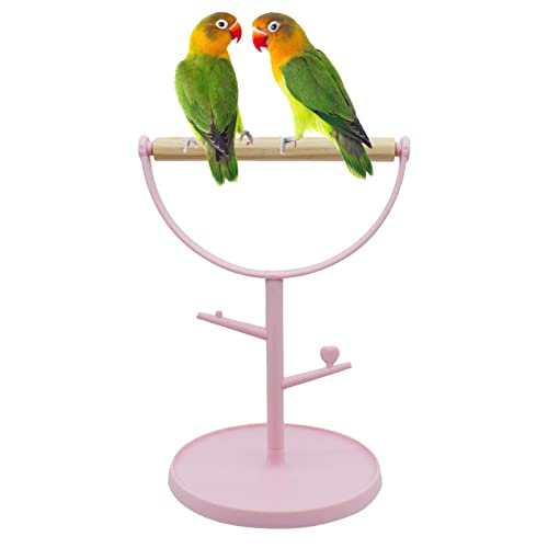 TAYSTE Vogeltrainingsständer | Vogelkäfig-Halter-Ständer für Sittiche,Bissfeste Tischplatte aus Holz für Papageien, Lovebirds, Nymphensittiche von TAYSTE