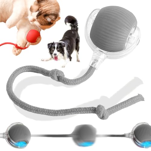 Intelligenter Automatischer Rollball für Haustiere, 2025 Neu Interaktives Hundespielzeug, Hundespielzeug Ball Hundeball Elektrisch, Smart Automatisch Rollender Ball für Katzen und Hunde (Grau) von TBLMPNE