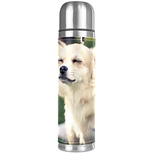 Isolierte Wasserflasche Edelstahl-Wasserflaschen Metall-Wasserflasche,Hundehaustier Schönes Tier von TBOUOBT