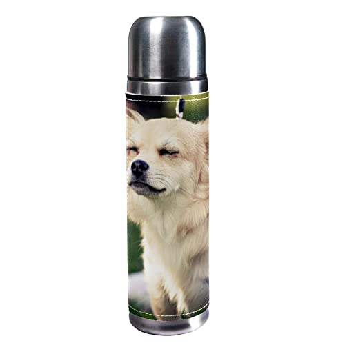 Isolierte Wasserflasche Edelstahl-Wasserflaschen Metall-Wasserflasche,Hundehaustier Schönes Tier von TBOUOBT