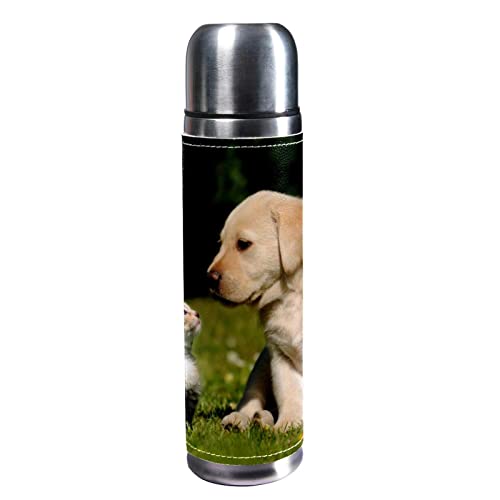 Isolierte Wasserflasche Edelstahl-Wasserflaschen Metall-Wasserflasche,Katze Tier Hund von TBOUOBT