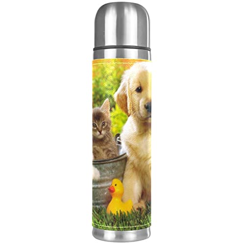 Isolierte Wasserflasche Edelstahl-Wasserflaschen Metall-Wasserflasche,Katzen und Hundetierhaustier von TBOUOBT