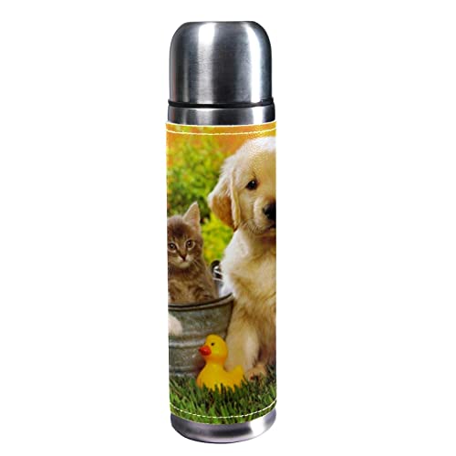 Isolierte Wasserflasche Edelstahl-Wasserflaschen Metall-Wasserflasche,Katzen und Hundetierhaustier von TBOUOBT