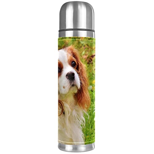 Isolierte Wasserflasche Edelstahl-Wasserflaschen Metall-Wasserflasche,Tier Hund Haustier von TBOUOBT