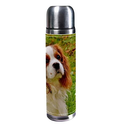 Isolierte Wasserflasche Edelstahl-Wasserflaschen Metall-Wasserflasche,Tier Hund Haustier von TBOUOBT