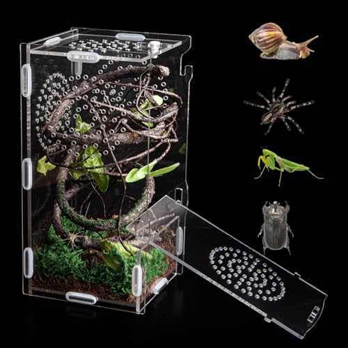 Reptilien-Terrarium aus Acryl, 20,3 x 10,2 x 10,2 cm, Mini-Springspinnen-Futterbox mit sicherem Verschluss für Vogelspinnen, Insekten, Frösche, Betereranter, Schnecken und Isopoden von TCooSo