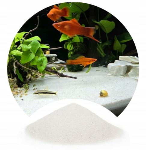 2kg Sand Quarz Weiß für Aquarium 0,5-1mm von TD STONES