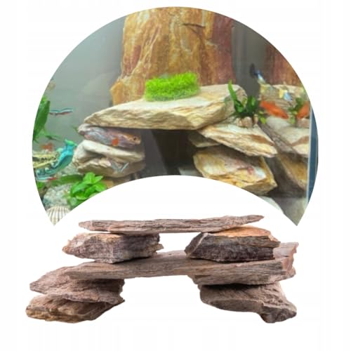 5kg Schiefer Bunt Natürliche Dekoration Aquarium von TD STONES