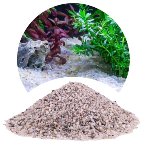 TD STONES Aquarium Sand Dekoration Aquarium Sand Aquarium Kiess Quarz Grau 1-3mm 8kg von TD STONES