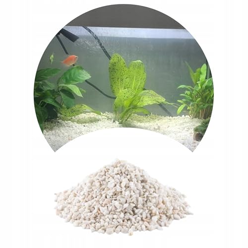 TD STONES Kiesel für Aquarium Dekoration Aquarium Kiesel Aquarium Malawi 1-4mm 2kg Weiß von TD STONES