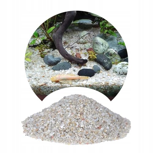 TD STONES Kiesel für Aquarium Dekoration Aquarium Kiesel Aquarium Natur Hell 24kg 2-3mm von TD STONES