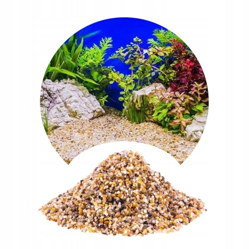 TD STONES Kiesel für Aquarium Dekoration Aquarium Kiesel Aquarium Quarz Bernstein 24kg 2-3mm von TD STONES