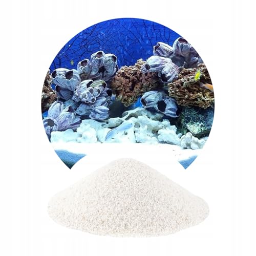 Weiß Sand Für Aquarium Tanganika 8kg 0,5-1mm von TD STONES