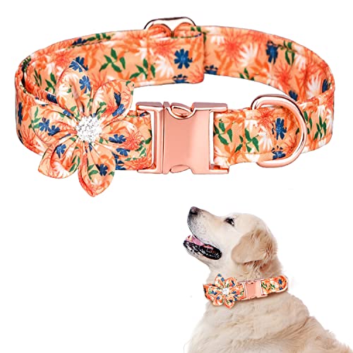 TDTOK Hundehalsband für Mädchen für kleine, mittelgroße und große Hunde, niedliches Hundehalsband mit abnehmbarer Blumen-Sicherheits-Metallschnalle, verstellbares Blumenmuster,60.6 cm (L, Orange) von TDTOK