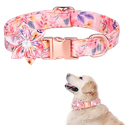 TDTOK Hundehalsband für kleine, mittelgroße und große Hunde, niedliches Hundehalsband mit Abnehmbarer Blumen-Sicherheits-Metallschnalle, verstellbares Blumenmuster, weiche, Bequeme Baumwolle, von TDTOK