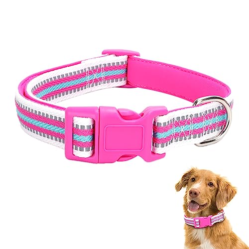 TDTOK Reflektierendes Nylon-Hundehalsband, niedliches, weiches Neopren, gepolstertes Hundehalsband für große, mittelgroße und kleine Hunde mit Kunststoff-Sicherheitsschnalle, verstellbare, bequeme von TDTOK