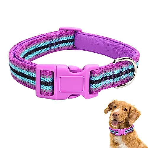 TDTOK Reflektierendes Nylon-Hundehalsband, niedliches, weiches Neopren, gepolstertes Hundehalsband für große, mittelgroße und kleine Hunde mit Kunststoff-Sicherheitsschnalle, verstellbare, bequeme von TDTOK