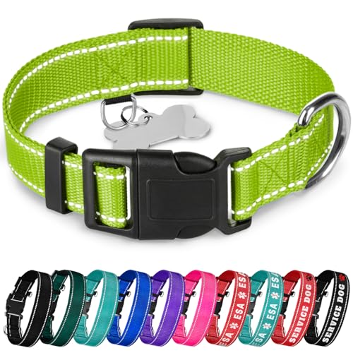 TECEUM Hundehalsband Acid Green - Halsband für alle Rassen und Größen von Katzen und Hunden - M von TECEUM