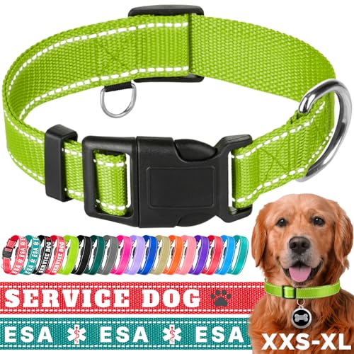 TECEUM Reflektierendes Haustierhalsband – Säuregrün – XS – Basic Nylon Hundehalsband – Schnellverschluss-Schnalle – passend für kleine, mittelgroße und große Hunde, Welpen, Katzen – ESA & Diensthund von TECEUM