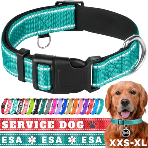 TECEUM Hundehalsband - Aquamarin - Halsband für alle Rassen und Größen von Katzen und Hunden - M von TECEUM