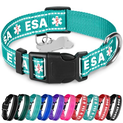 TECEUM Hundehalsband Blaugrün - ESA - Halsband für alle Rassen und Größen von Katzen und Hunden - M von TECEUM