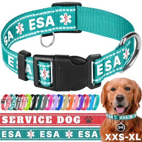 TECEUM Reflektierendes Haustierhalsband – Blaugrün – ESA – XS – Basic Nylon Hundehalsband – Schnellverschluss-Schnalle – passend für kleine, mittelgroße und große Hunde, Welpen, Katzen – ESA & von TECEUM