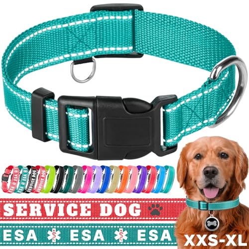 TECEUM Hundehalsband Blaugrün - Halsband für alle Rassen und Größen von Katzen und Hunden - L von TECEUM
