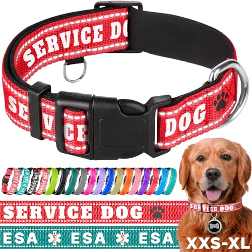 TECEUM Hundehalsband - Crimson - Diensthund - Halsband für alle Rassen und Größen von Katzen und Hunden - M von TECEUM