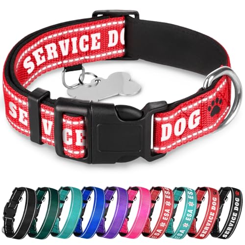 TECEUM Hundehalsband - Crimson - Diensthund - Halsband für alle Rassen und Größen von Katzen und Hunden - M von TECEUM