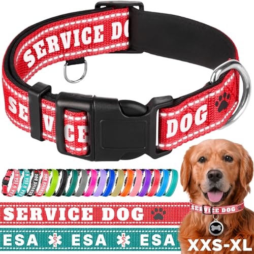 TECEUM Reflektierendes Haustierhalsband - Purpurrot - Diensthund - M - extra weiche Polsterung - Basic Nylon Hundehalsband - Schnellverschluss-Schnalle - Passend für kleine, mittelgroße und große von TECEUM