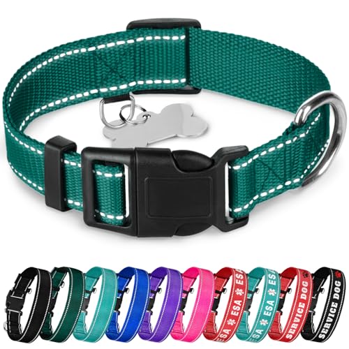 TECEUM Hundehalsband Dunkles Smaragdgrün - Halsband für alle Rassen und Größen von Katzen und Hunden - M von TECEUM