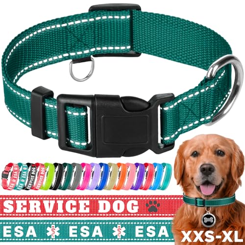 TECEUM Hundehalsband Dunkles Smaragdgrün - Halsband für alle Rassen und Größen von Katzen und Hunden - S von TECEUM