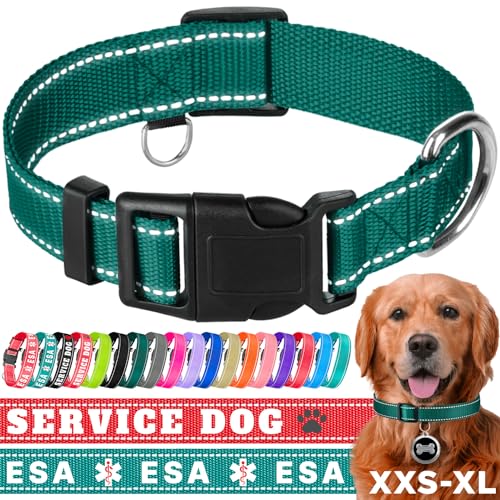 TECEUM Hundehalsband Dunkles Smaragdgrün - Halsband für alle Rassen und Größen von Katzen und Hunden - XL von TECEUM