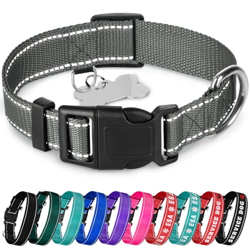 TECEUM Reflektierendes Haustierhalsband, Grau, S, Basic Nylon-Hundehalsband, Schnellverschluss-Schnalle, passend für kleine, mittelgroße und große Hunde, Welpen, Katzen, ESA- und Servicehunde von TECEUM