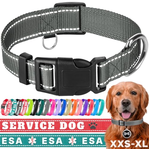 TECEUM Hundehalsband Grau - Halsband für alle Rassen und Größen von Katzen und Hunden - S von TECEUM